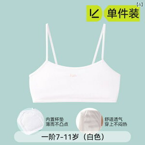 EMX LbY qp Ci[EFA ugbv  ڐG⊴ z ̎q w w t