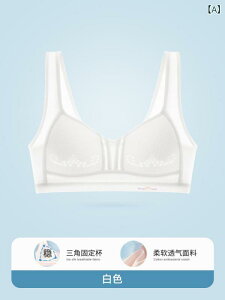 uW[ WjA X|[cu X|u ̎q w Z t@[Xgu  ʋC mC[    sNn