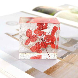 ���ٓ��� �V���R�����[���h ���W���^ �Ό��^ ������ �~�` �����` DIY ���[���b�p