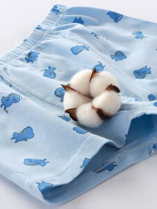 LbY  j̎q qp {NT[pc AލR Rbg ppc 4Zbg Fsm  j  ~bL[ Lk z {[CY j c w