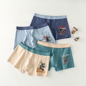 pc j̎q WjA {NT[pc CNRbg w Z  ppc  95% X|[c 􉽊w