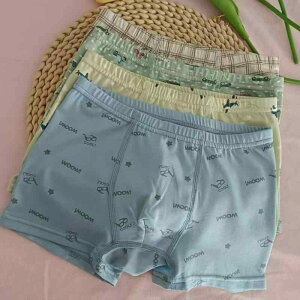 qp  j̎q ppc CNRbg R D ٓ