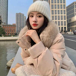 _EWPbg fB[X t[ht ȓ  n  g h ig fC[[X AE^[ EFA R[g Wp[ u] Wo[ u[ ǃsN RR