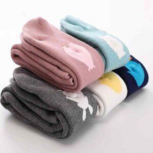 qpMX ^Cc H~   PP xr[ ̎q J[gD[ vZX XJ[g