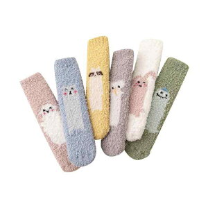 C xr[  R[ t[X ~ t  \bNX q C ANX F u[ O[ sN O[ zCg ? 0 6 ~ H