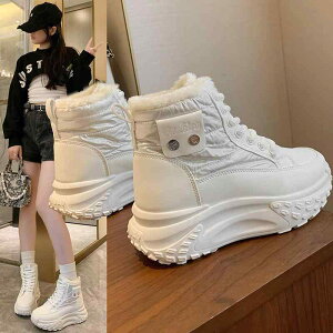 nC fB[X ?   h JWA ȌC ~ Xm[u[c wlC V[Y EhgD [XAbv ĔF 