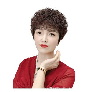 EBbO fB[X p S wAs[X l100% V[g J[ Ք  ×p  ʋC