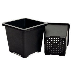 Aؔ A T{e  vX`bN   ~jTCY TCY | ƒ؉