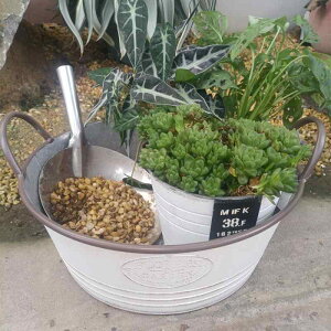 K[fjO Aؔ v^[  | eRb^ A ACA uL Vr[VbN AeB[N re[W g 񂹐A x_؉ 둢 K[f