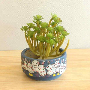 Aؔ A   ؎ 菑 킢 ETM  ~ ItBX ƒ |