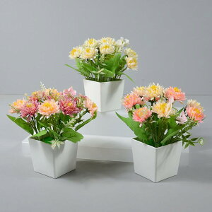 ~ ؍ ܋e ~i  CeA  ItBX rO ̊ tFCNO[