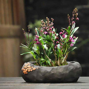 Aؔ fB[X A  a e ʋC ~ ԕr   n ItBX ؍