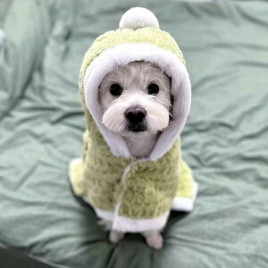 ybg H~ L  ۉ |` P[v uPbg }bg R[ t[X Q 킢  ѕz p[v O[