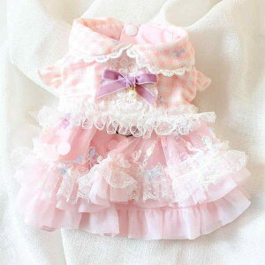 ybg   L t   vZX tFA[ XJ[g  킢 JCC sN u[ Rbg ^ ^