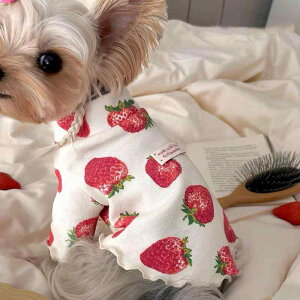 ybg tďH~ L ^  s[X [NV[eA |GXe  킢 ʋC