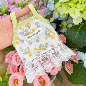 ybg fB[X L   ݂XJ[g s[X Lk ʋC `[ t t 킢 啗 ^ }`[Y ԕ