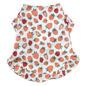 p  wS t  ^ ^ 킢 |GXe bh  u[ ԕ