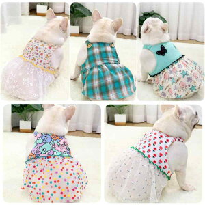  XJ[g ^ ^ ps[ s[X C{[J[ xA F `[XJ[g t 킢  hbOEFA t