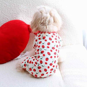 Lp XJ[g ybg t 킢  ʋC K  bh XS S M L XL XXL