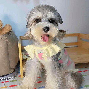 hbOEFA ^ jbg  H~  킢 Z[^[ [NV[ }`[Y sNn