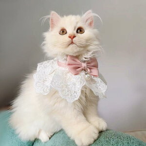 L  t  Lp qL ^ s[X XJ[g 킢   `[J[ |GXe sN O[ u[ bh