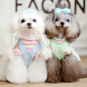  L  tH tCX fj 킢 vZX XJ[g I[o[I[ oj[ rbg jW hJ u[  O[