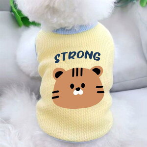 ybg L fB[X 킢  |GXe z l` L p h ё΍ lr  wS JWA CG[ u[ O[ sN