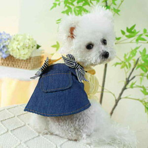 ybg t  fjXJ[g  L p JWA  ԕ Xgbv XJ[g u[ zCg XS S M L XL