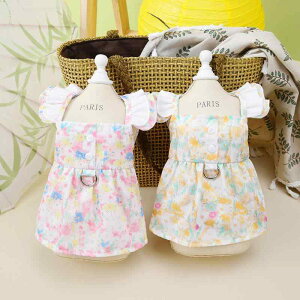 ybg ^ t XJ[g n[lX [h Zbg |GXe ԕ 킢 sN CG[ U