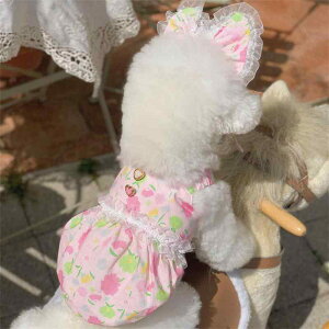   ybg ViEU[ |jA efB L  vg s[X XJ[g + wAANZT[ ^ ^ sNn u[n 킢 