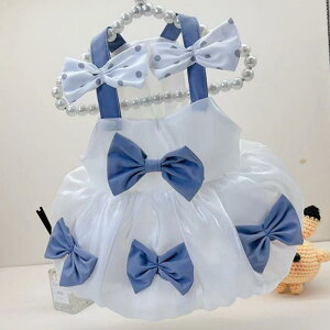 ybg fB[X p Lp ėp  ^ s[X XJ[g vZX 킢  |GXe