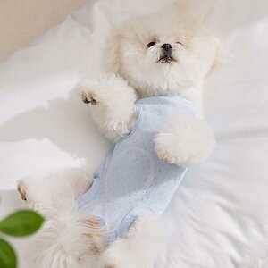 ybg t  ʋC ^ lr  EFA pXeJ[   Rbg Lk ig