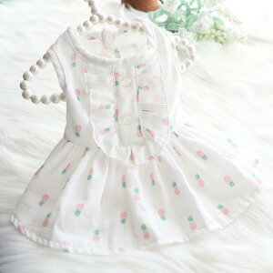  L 킢 XJ[g t  ^ L ybg vZX hbOEFA K[[ R[xxbg