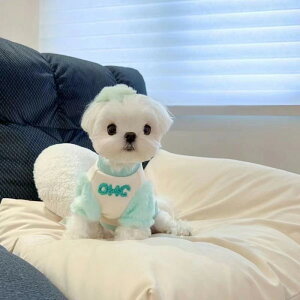 ybg H~ L ^   }`[Y [L[ V[Y[ 킢 ybgEFA g h |GXe