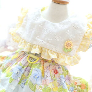 ybg fB[X t s[X }`[Y [NV[eA ^ L hbOEFA 킢 ԕ Rbg sN CG[