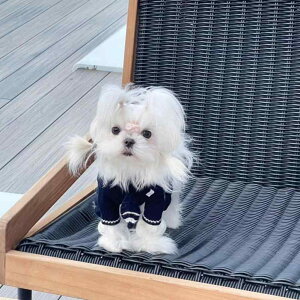   ybg H~ }`[Y rV V[ Y[ ^ L 킢 jbg Z[^[ vZX XJ[g 