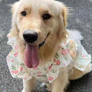 ybg  t  uh[ S[fgo[ TGh ^ ^ 킢 ԕ |GXe xXg