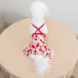   ̎q ^ `jbN s[X t  U 킢  ig |GXe sN