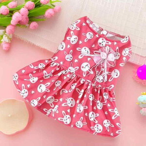 ybg  t XJ[g C[X^[ ETM 킢 vZX sN |GXe ^ ^