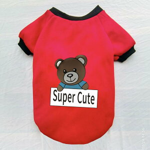   H~  |GXe ^  ybg  bh ubN CG[ 킢 F  JWA