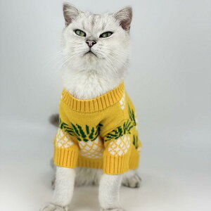 ybg  L jbg 킢 pCibv t`uhbO H~ NX}X CG[