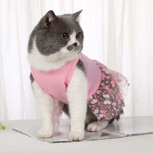  ybg ^ 킢 sN bV XJ[g s[X ig U |GXe t