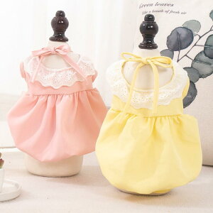 ybg fB[X ^ L  Z vZX XJ[g s[X [NV[ }`[Y |GXe CG[ sN 킢