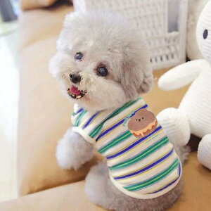 ybg  L  킢 ё΍ }`[Y [NVeA ^ pW}   XS S M L XL XXL