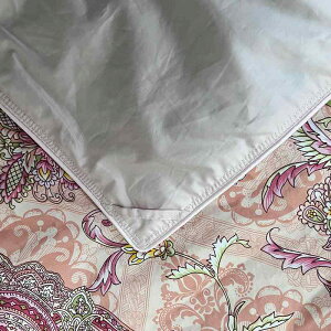 |zcJo[ Rbg ԕ 60Ԏ舻D @ۖ R h_j ÓdCh~ I[V[Y