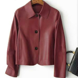 WPbg fB[X PUU[ vW H~ V[g AE^[ ؍ t@bV Xg[g JWA oCN ubN   bh