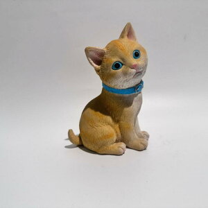 u IuWF 킢 L      fR[V Mtg Ntg  nXL[