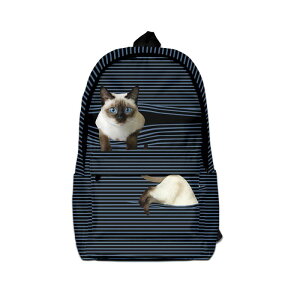 bNTbN fB[X Y e obNpbN IbNXtH[hz 􉽊w͗l vg ʊw s h  ϖՐ @\ JWA X^C