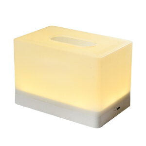 �e�B�b�V���P�[�X ���C�g ���� �Q�� �x�b�h�T�C�h ��� ���p�r �[�d�� ���[�����C�g �ԐڏƖ�