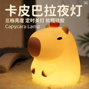 小夜灯 子供用 充電式 授乳ライト ベッドサイドランプ シリコン製 タッチセンサー ライト オブジェ インテリア 暖光